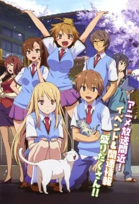 Sakurasou no Pet na Kanojo VOTFR streaming