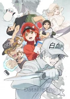 Hataraku Saibou Saison 2 VOSTFR streaming