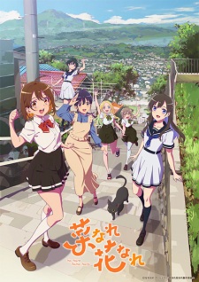 Nanare Hananare VOSTFR streaming