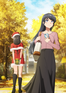 Rascal Does Not Dream of Santa Claus VOSTFR streaming