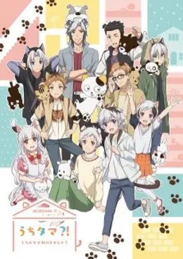 Uchitama: Uchi no Tama Shirimasenka? VOSTFR streaming