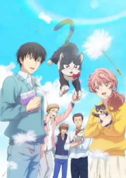 Doukyonin wa Hiza, Tokidoki, Atama no Ue. VOSTFR streaming